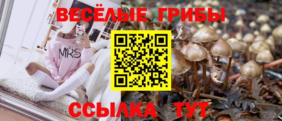 Псилоцибиновые грибы Psilocybine cubensis Нижнекамск