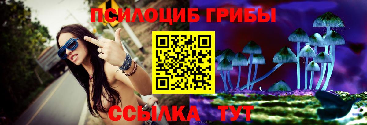 Псилоцибиновые грибы Magic Shrooms  Вход с VPN  сколько стоит  Нижнекамск 