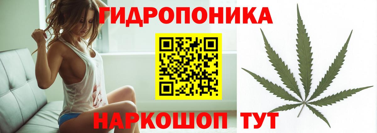 Конопля тримм  Марихуана семена  Нижнекамск  Вход с VPN 